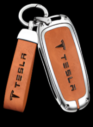 Tesla-LSTSL-02