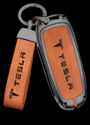 Tesla-LSTSL-02