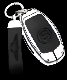 Bentley-LSBLI-01