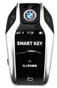 BMW-LSBM-03